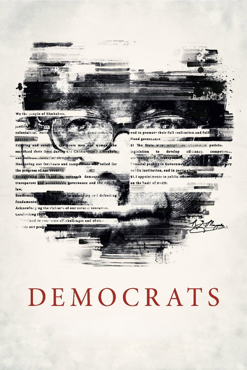 Movie poster for Democrats (2014)
