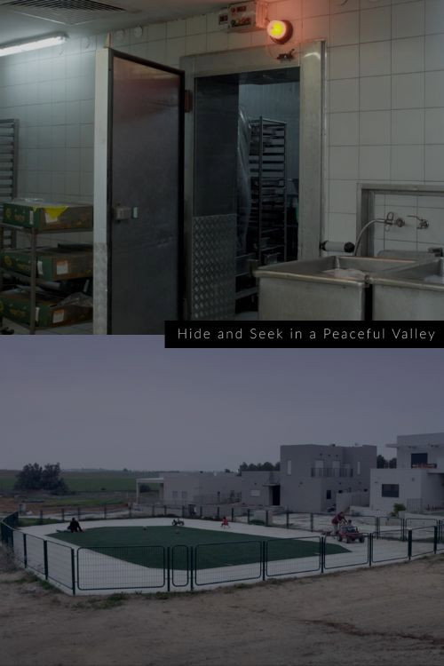Movie poster for Hide and Seek in a Peaceful Valley (2020)