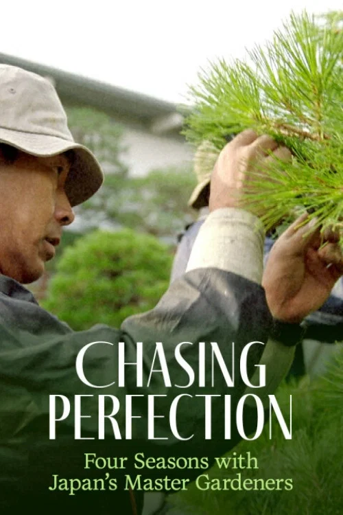 Movie poster for Chasing Perfection: Four Seasons with Japan's Master Gardeners (2024)
