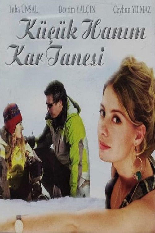 Küçük Hanım Kar Tanesi poster