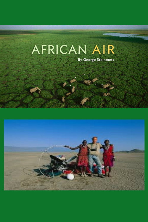 Movie poster for African Air (2011)