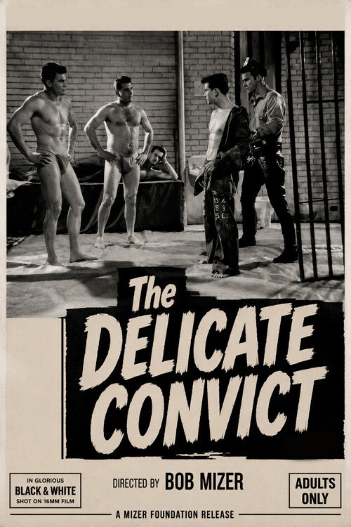 Movie poster for Delicate Convict (1964)
