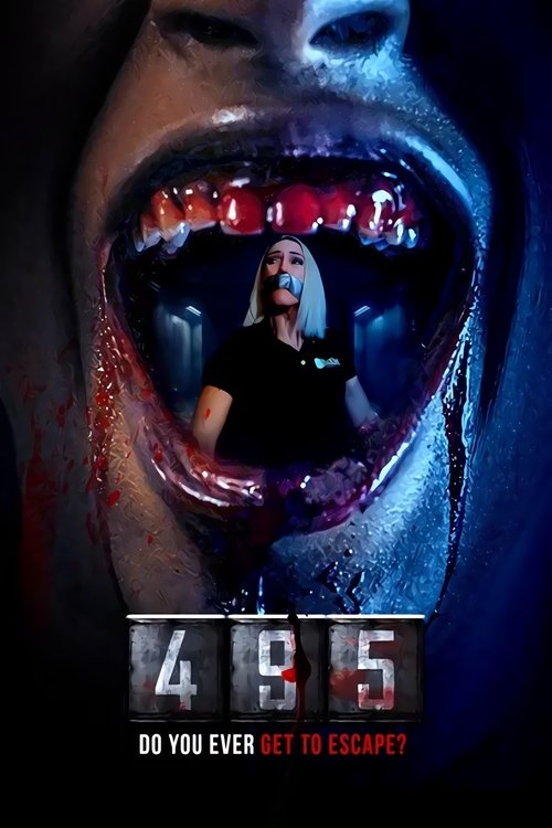 Movie poster for 495 (2025)