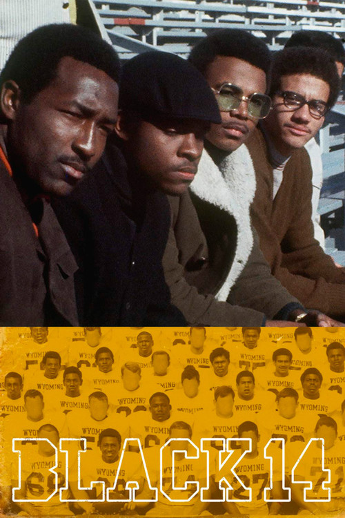 Movie poster for The Black 14 (2018)