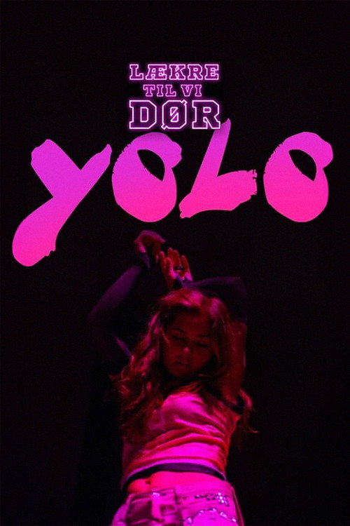 Movie poster for YOLO (2013)
