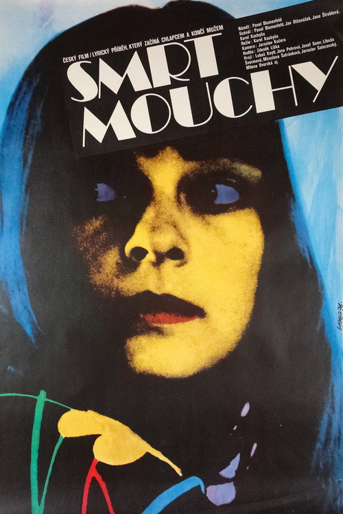 Movie poster for Smrt mouchy (1977)