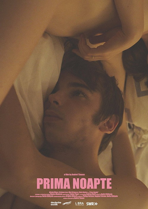 Movie poster for First Night (2016)