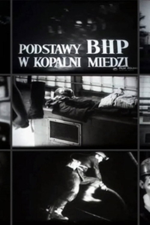 Movie poster for The Principles of Safety and Hygiene in a Copper Mine (1972)