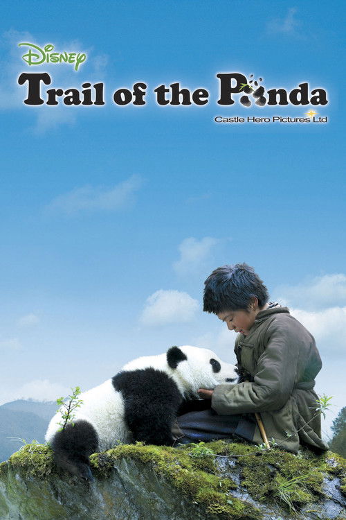 Movie poster for Trail of the Panda (2009)