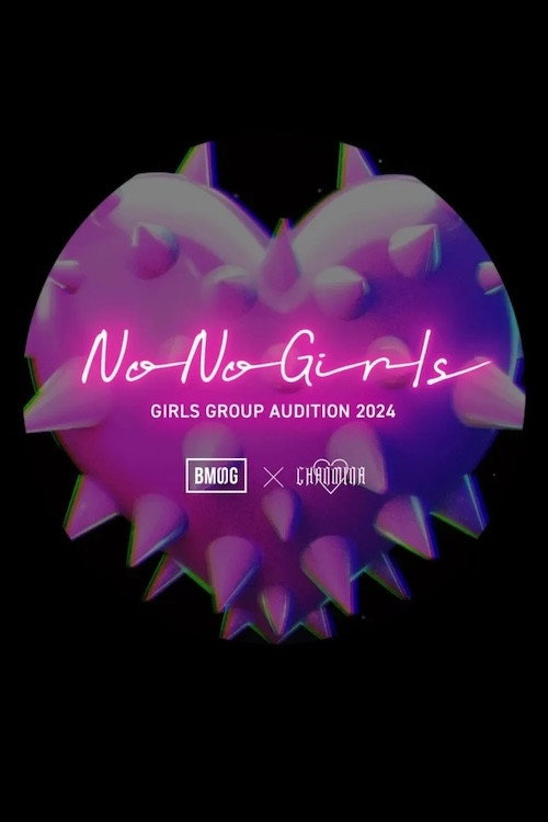 No No Girls poster