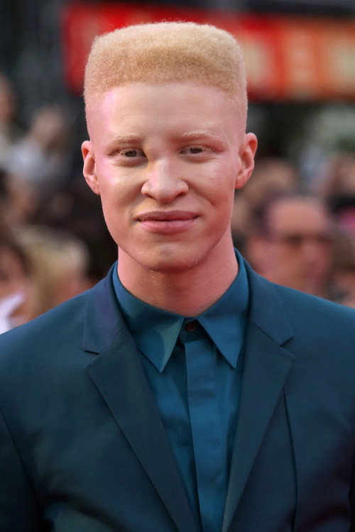 Shaun Ross profile