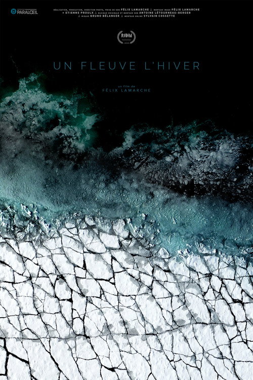 Movie poster for A River in Winter (2020)