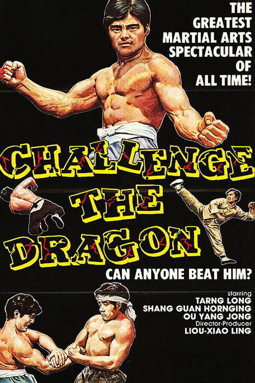 Movie poster for The Way of the Tiger (1973)