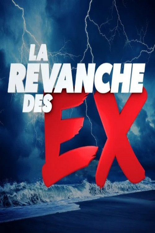 La Revanche des Ex poster