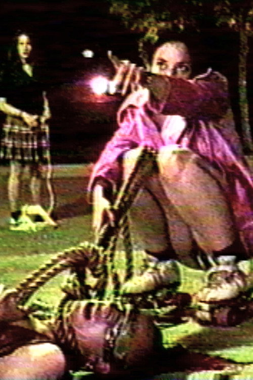 Movie poster for Window 13 (1995)