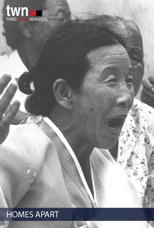 Movie poster for Homes Apart: Korea (1991)