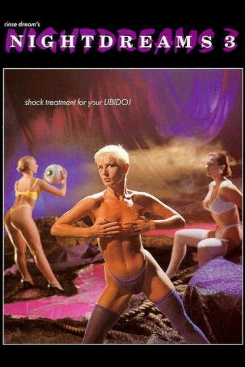 Movie poster for Nightdreams 3 (1991)