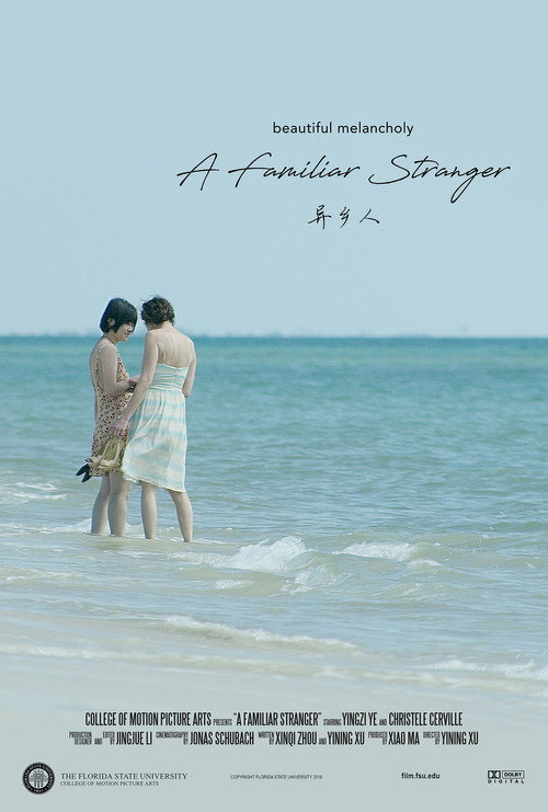 Movie poster for A Familiar Stranger (2018)