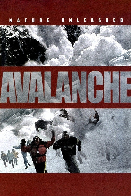 Movie poster for Nature Unleashed: Avalanche (2004)