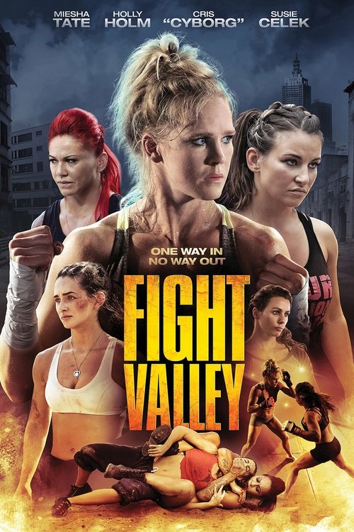 Movie poster for Fight Valley (2016)