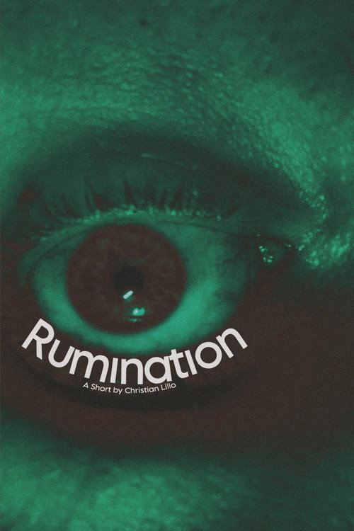 Movie poster for Rumination