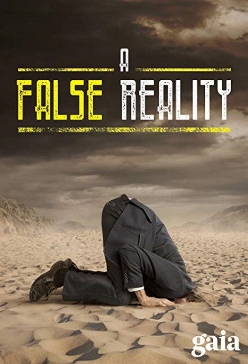 Movie poster for A False Reality (2015)