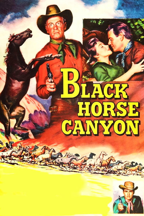 Movie poster for Black Horse Canyon (1954)