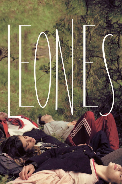 Movie poster for Lions (2012)