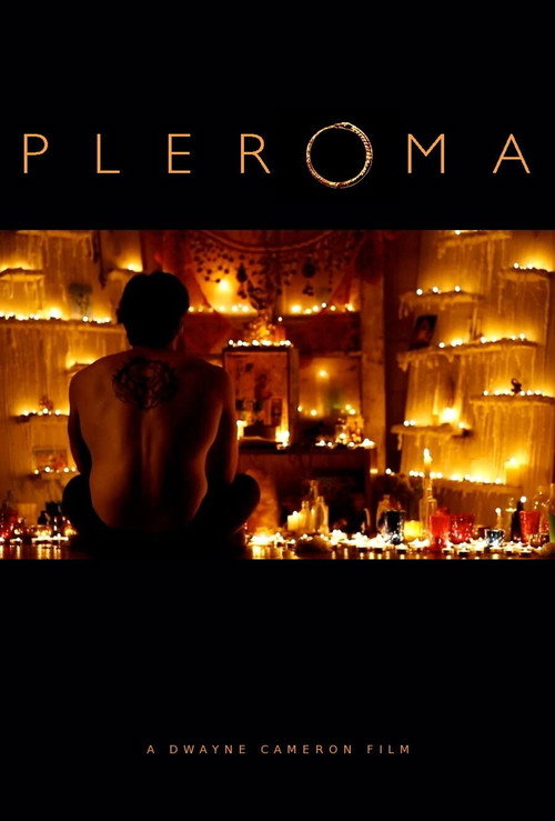 Movie poster for Pleroma (2013)