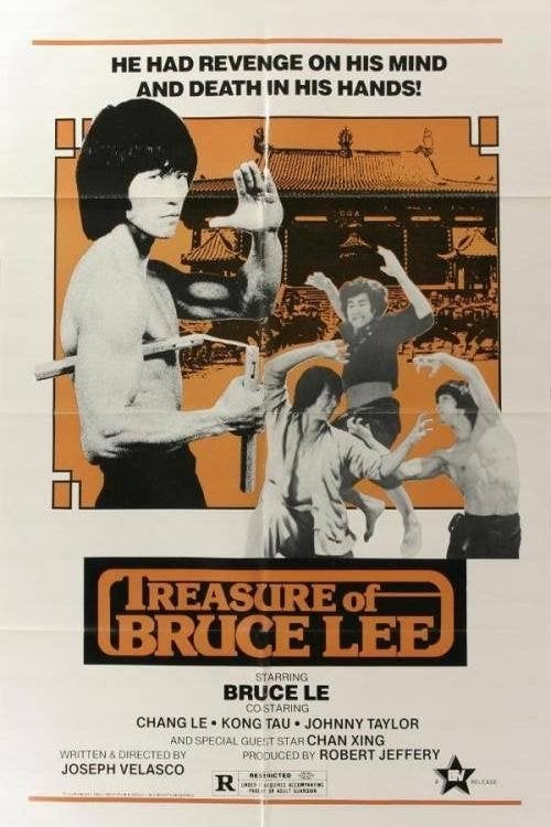 Movie poster for Treasure of Bruce Le (1979)