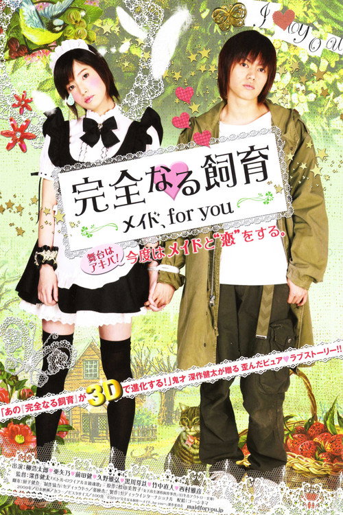 Movie poster for Perfect Education: A Maid for You (2010)