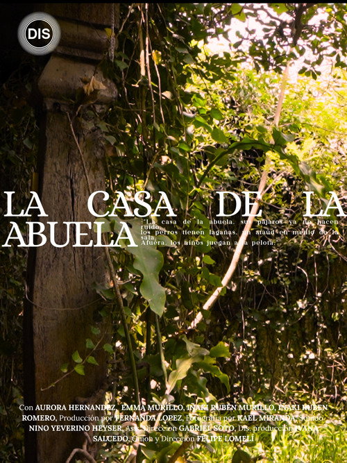 Movie poster for La casa de la abuela.