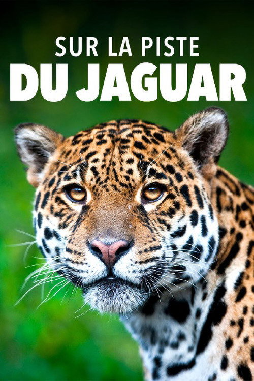 Movie poster for Jaguar: Jungle Icon of Guyana