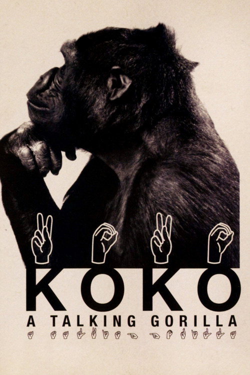 Movie poster for Koko: A Talking Gorilla (1978)