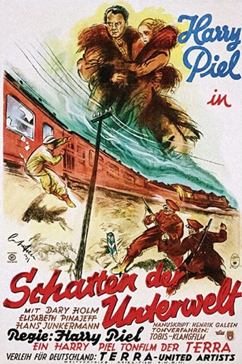 Movie poster for Shallow Shadows (1931)