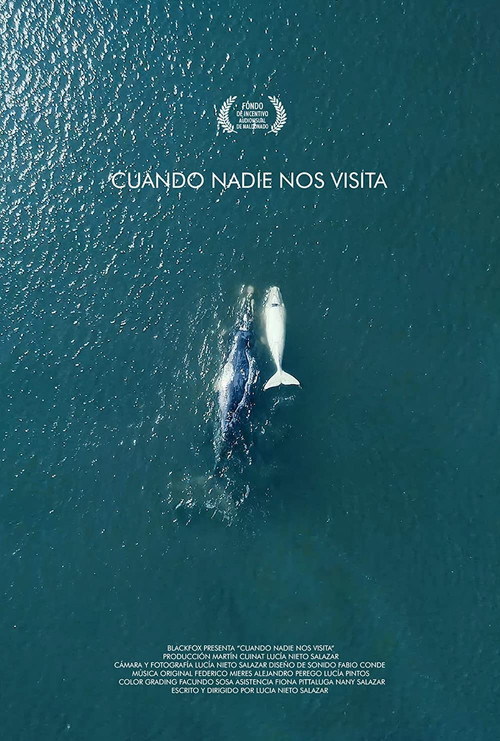 Movie poster for Cuando nadie nos visita (2018)