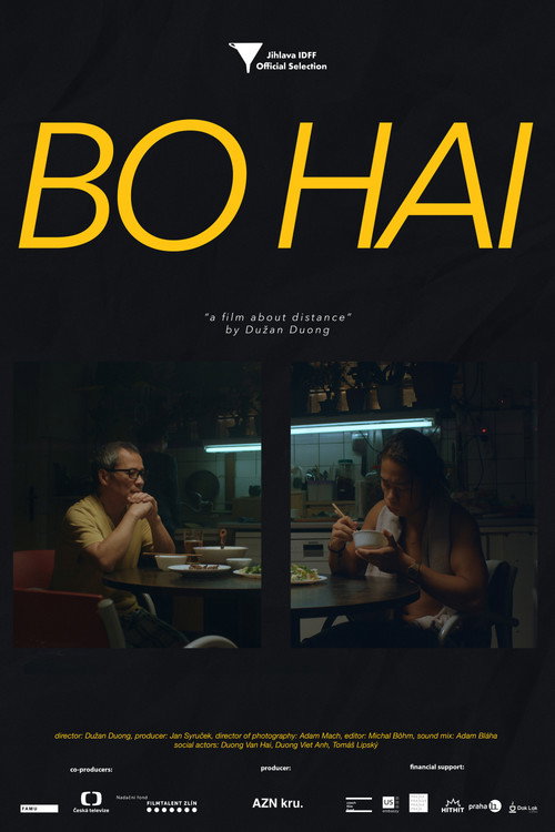 Movie poster for Bo Hai (2017)