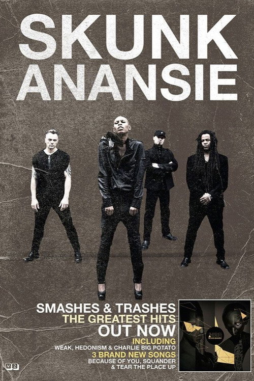 Movie poster for Skunk Anansie - Smashes And Trashes The Video Collection (2009)