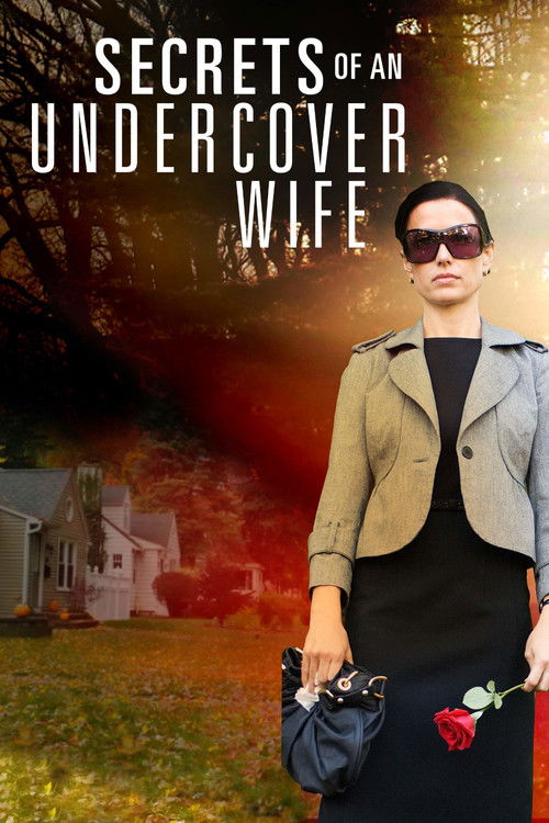 Movie poster for Secrets of an Undercover Wife (2007)