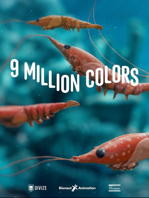 Movie poster for 9 Million Colors (2025)