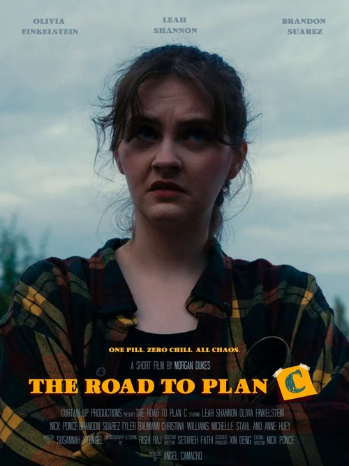 Movie poster for The Road to Plan C