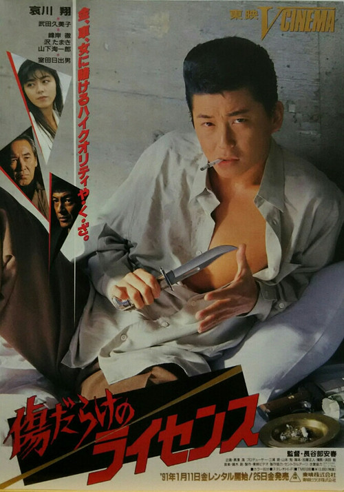 Movie poster for Scratched License (1991)