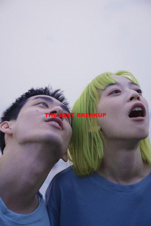 Movie poster for The Best Breakup (2024)
