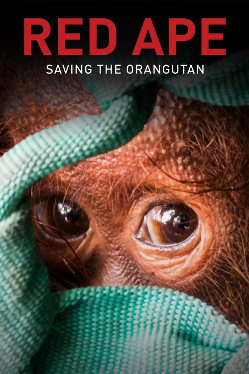 Movie poster for Red Ape: Saving the Orangutan (2018)