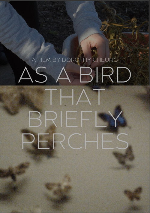 Movie poster for as a bird that briefly perches (2025)