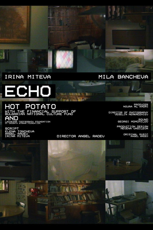 Movie poster for ECHO