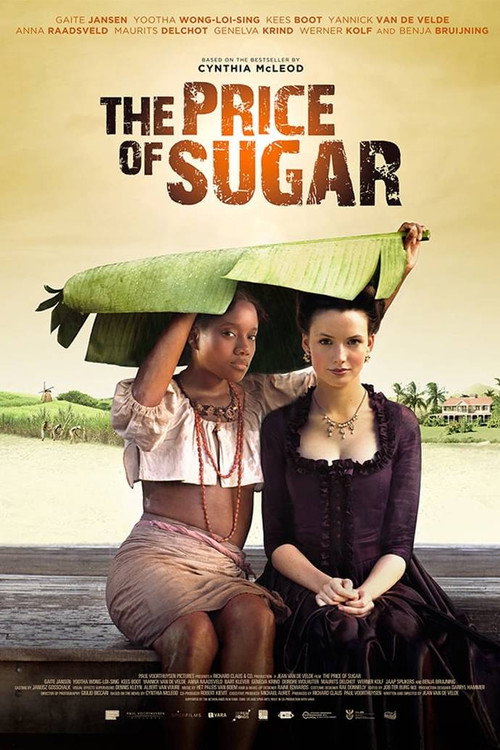 Movie poster for The Price of Sugar (2013)