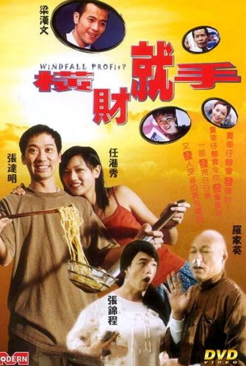 Movie poster for Windfall Profits (2002)