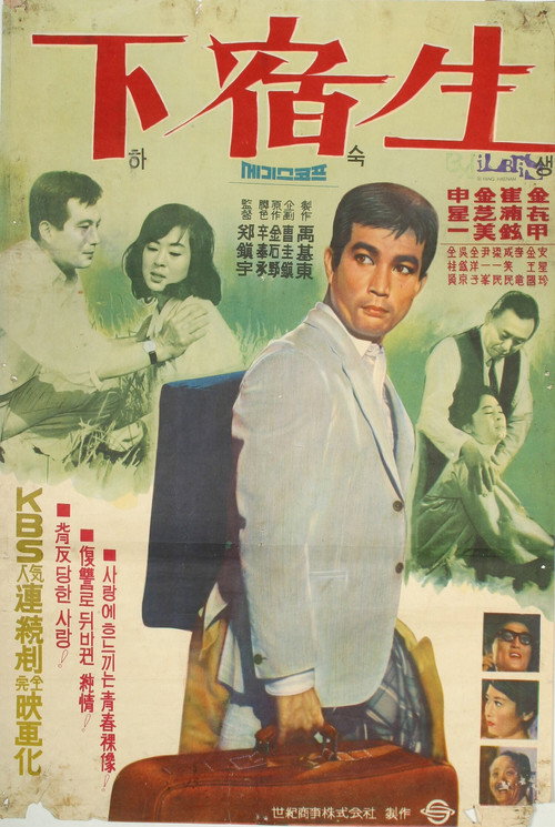 Movie poster for A Student Boarder (1966)