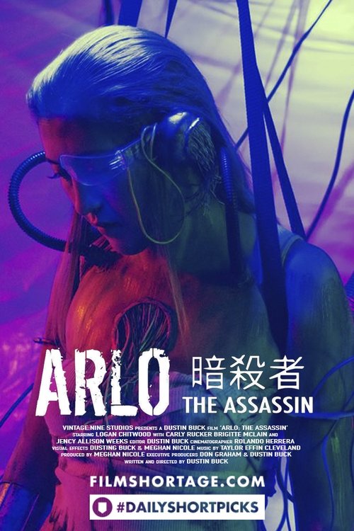 Movie poster for ARLO: THE ASSASSIN (2015)